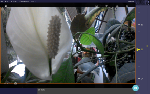 Magic Nikon ViewFinder screenshot 7