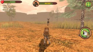 Hungry Tiger 3D screenshot 3