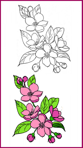 Download Flower Drawing And Colouring Book Games 1 0 6 Download Android Apk Aptoide