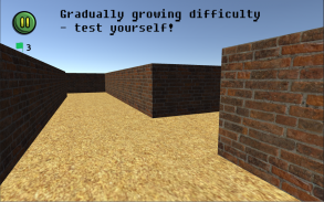 Epic Maze 3D screenshot 5