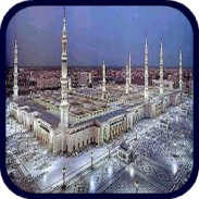 Madina Wallpapers screenshot 6