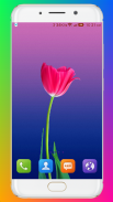 Flower Wallpaper HD screenshot 6