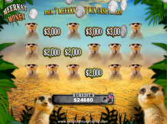 Flamingo Safari Slots screenshot 3