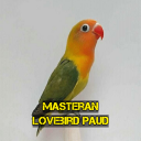 Masteran Lovebird Paud Konslet Icon