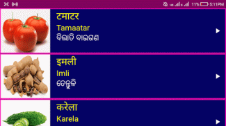 Learn Hindi from Odia screenshot 5