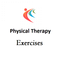 Physical Therapy Exercises