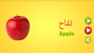 Learn Arabic Language screenshot 0