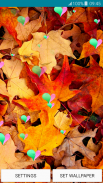 Live Wallpapers – Autumn screenshot 2