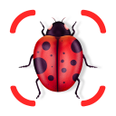 Insect identifier - identity