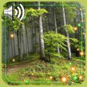 Forest Songs live wallpaper