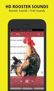 Rooster Sounds screenshot 1