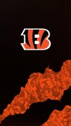 Cincinnati Bengals screenshot 1