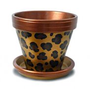 Painted Flower Pot Designs screenshot 1