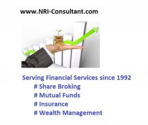 NRI Consultant screenshot 0