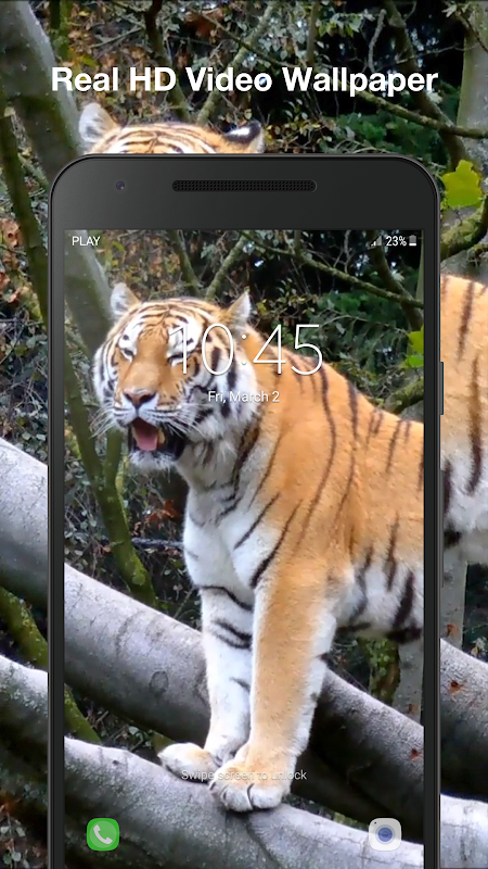 Tigers by Live Wallpaper HD 3D live wallpaper for Android. Tigers