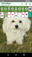 Patience Revisited Solitaire screenshot 7