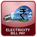 Electricity Bill View and Pay Icon