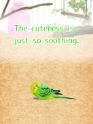 Parakeet Pet screenshot 5