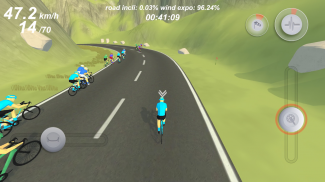 Pro Cycling Simulation screenshot 8