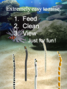 Garden Eel Pet screenshot 6