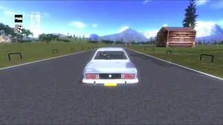 Meu Coupe Favorito 3D screenshot 4