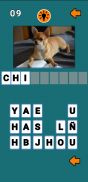 Guess the Dog Breed - Dog Quiz screenshot 0