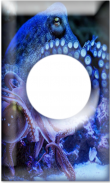 Amazing Octopus Frames screenshot 1