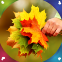 Herbst Live-Wallpaper Icon