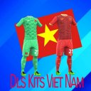 Dls Kits Viet Nam