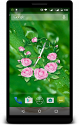 orologio di rosa livewallpaper screenshot 6