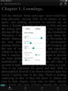 eView - Reader for ePub, html, screenshot 5