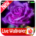 Purple flowers Live Wallpaper 2019 Purple flowers Icon