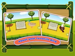 bird sounds fun learning games - coloring & puzzle screenshot 3