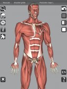 3D Bones and Organs (Anatomy) screenshot 9