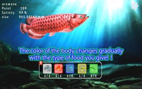 Arowana raising from fry screenshot 8