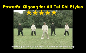 Tai Chi Ball Qigong (Dr. Yang) screenshot 8