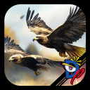 Bird Race 3D