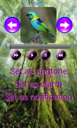 Animal Sounds screenshot 1