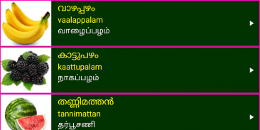 Learn Malayalam From Tamil screenshot 0