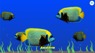 Dancing fishes 3D Coloring App screenshot 4