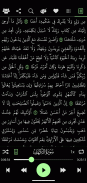 القرآن الكريم - ماهر المعيقلي screenshot 2