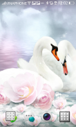 Swan Live Wallpaper HD 4K Cool screenshot 4