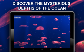 Jellyfishes 3D live wallpaper screenshot 1