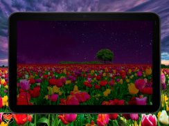 Flower Fields Live Wallpaper screenshot 7