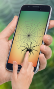 Spider Web Out screenshot 1