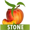 Stone Diet Renal Gall Bladder Kidney Gallbladder