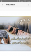 Urdu Photo Status screenshot 6