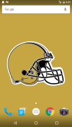 Wallpapers for New Orleans Saints Fans screenshot 0