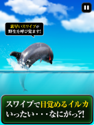 Can Dolphin Stand? screenshot 1