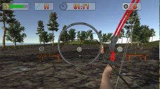Archery Tryouts: Bow and Arrow screenshot 6